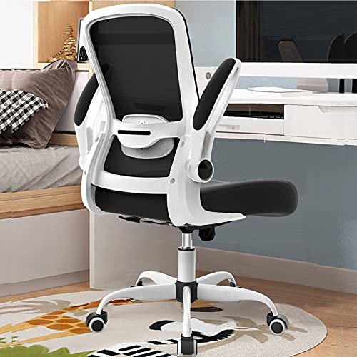 Office Chair, Ergonomic Desk Chair with Adjustable Lumbar Support, Multi Modern