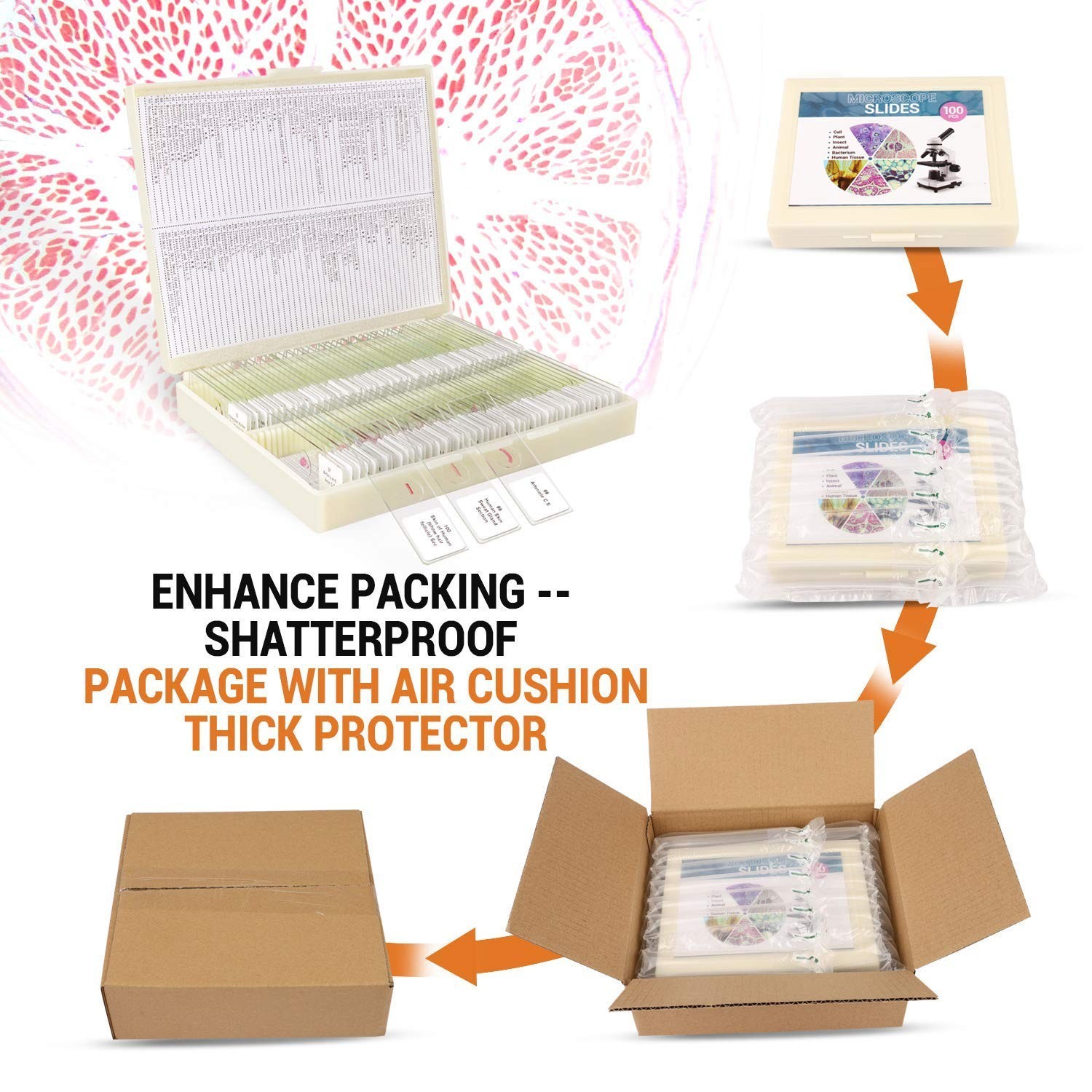 100 Microscope Slides with Frosted Edges - Perfect for Kids’ Science Experience