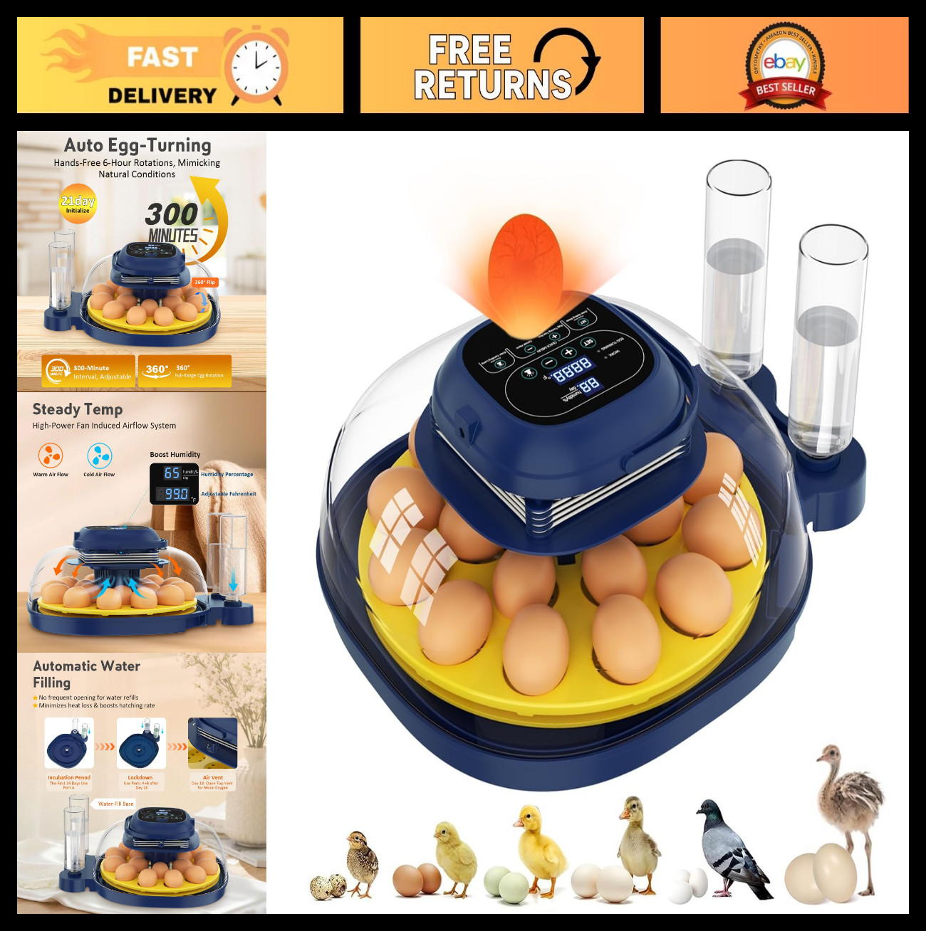 18 Egg Incubator with Auto Turning, Digital Temp & Humidity Control, Egg Candler