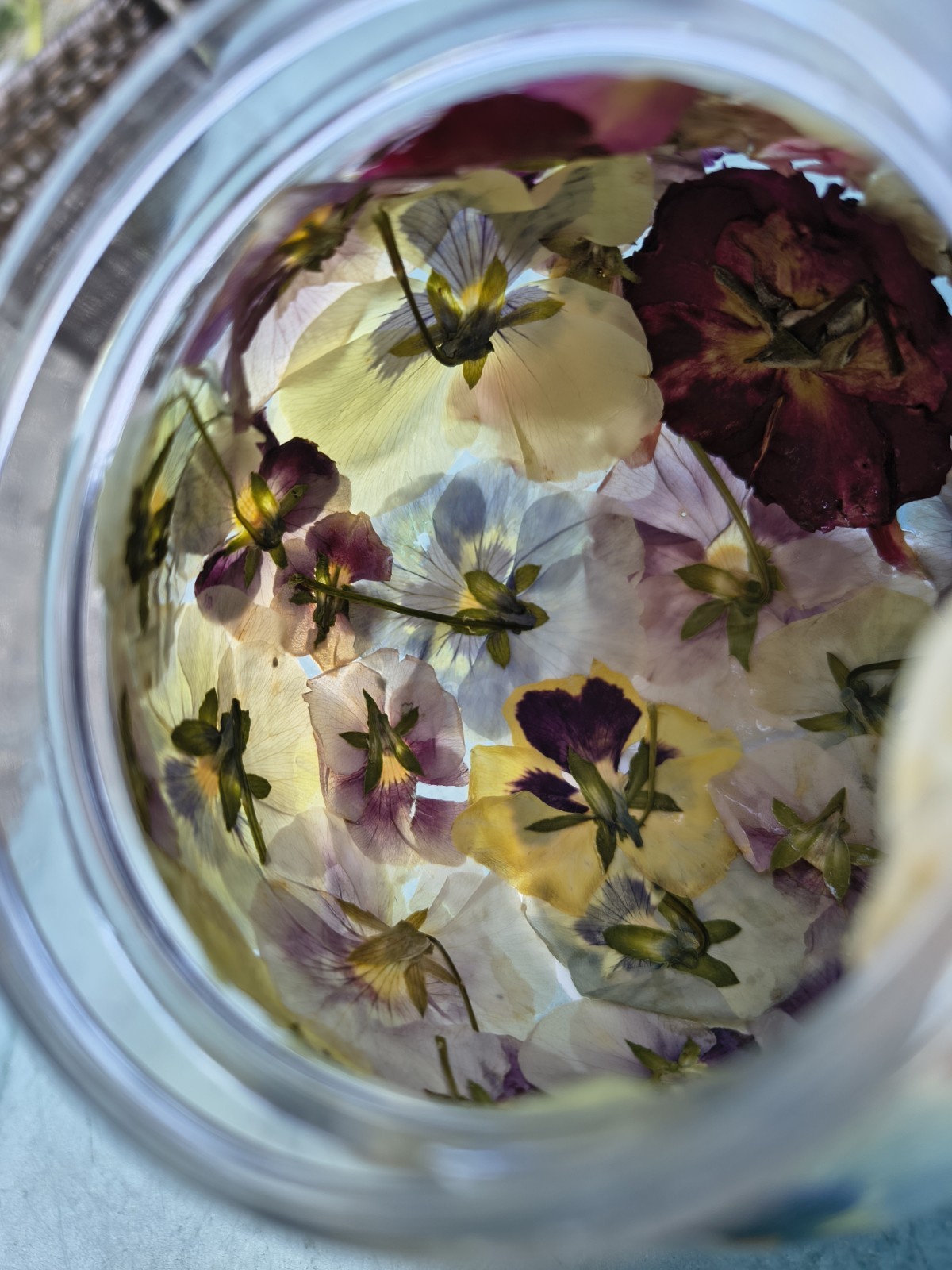 Pressed Flower Acrylic Sphere Paperweight LED Light Botanical Orb Decor