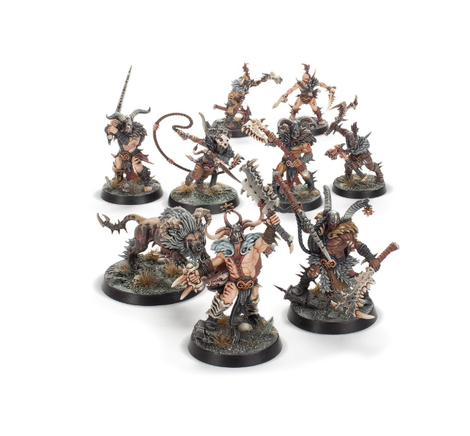 Untamed Beasts + Fighter/Abilities/Reaction Cards - Warcry - NO BOX