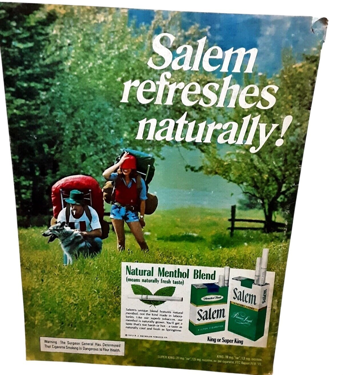1973 Salem Menthol Cigarettes Vintage Print Ad Hiking Couple Dog Retro Wall Art