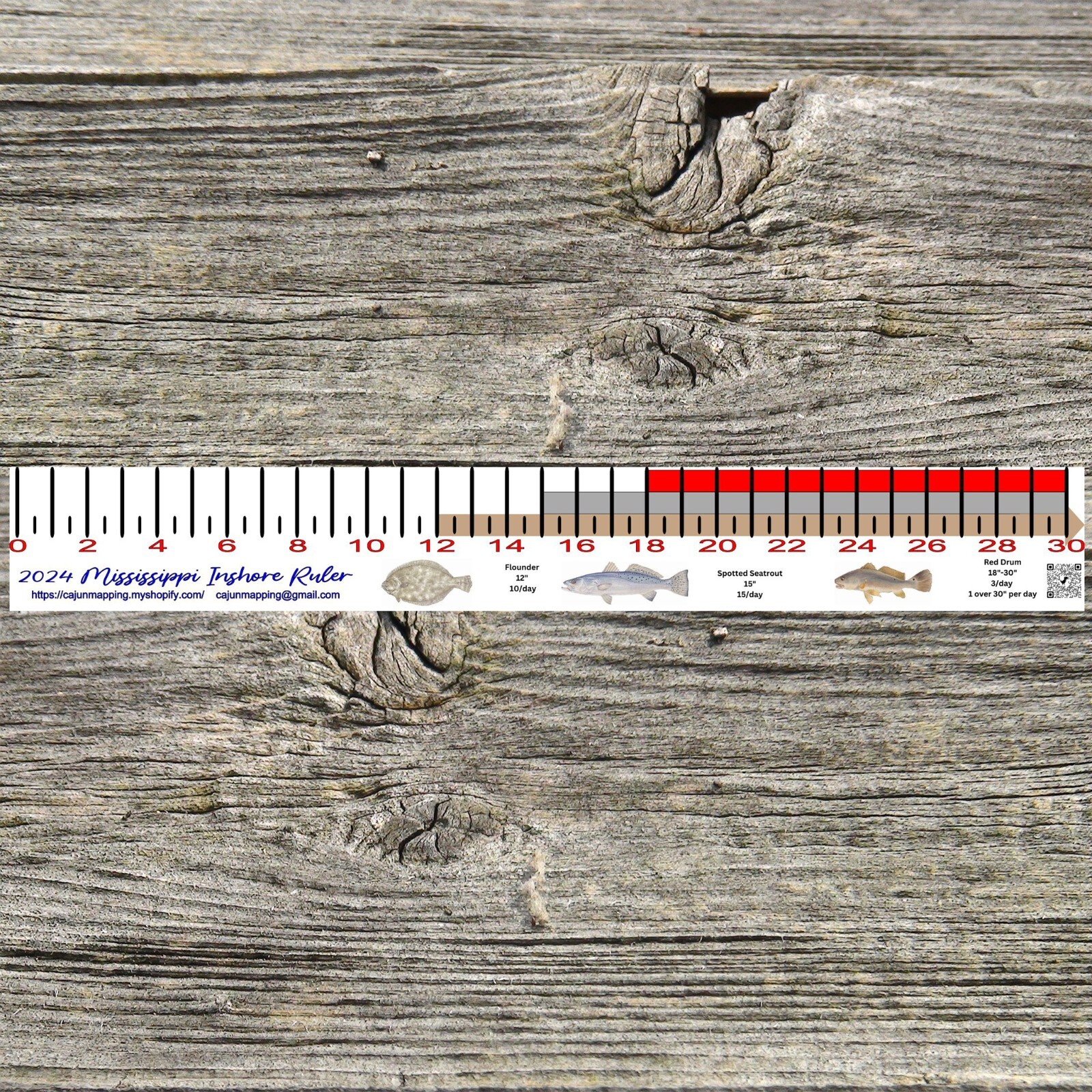 MISSISSIPPI INSHORE FISHING SLOT RULER DECAL