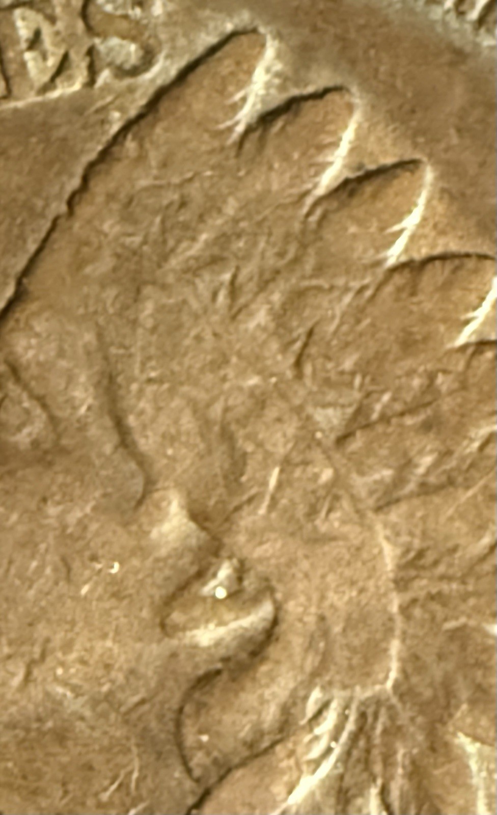 1906 1C BN Indian Cent "Liberty" partially visible - VF