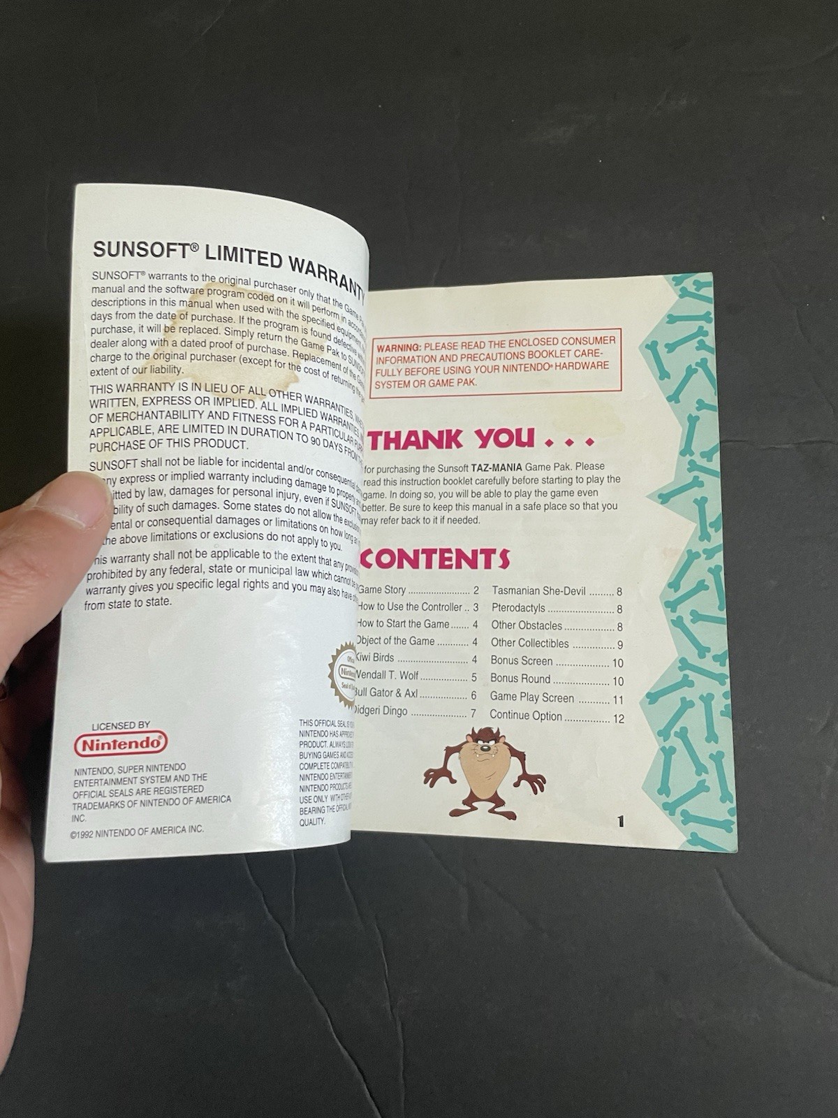 taz mania snes Manual