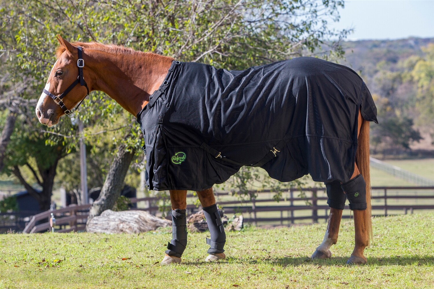 Horse Healing Therapy Sheet - Ceramic Infused - Far-Infrared Rays - 72" to 81"