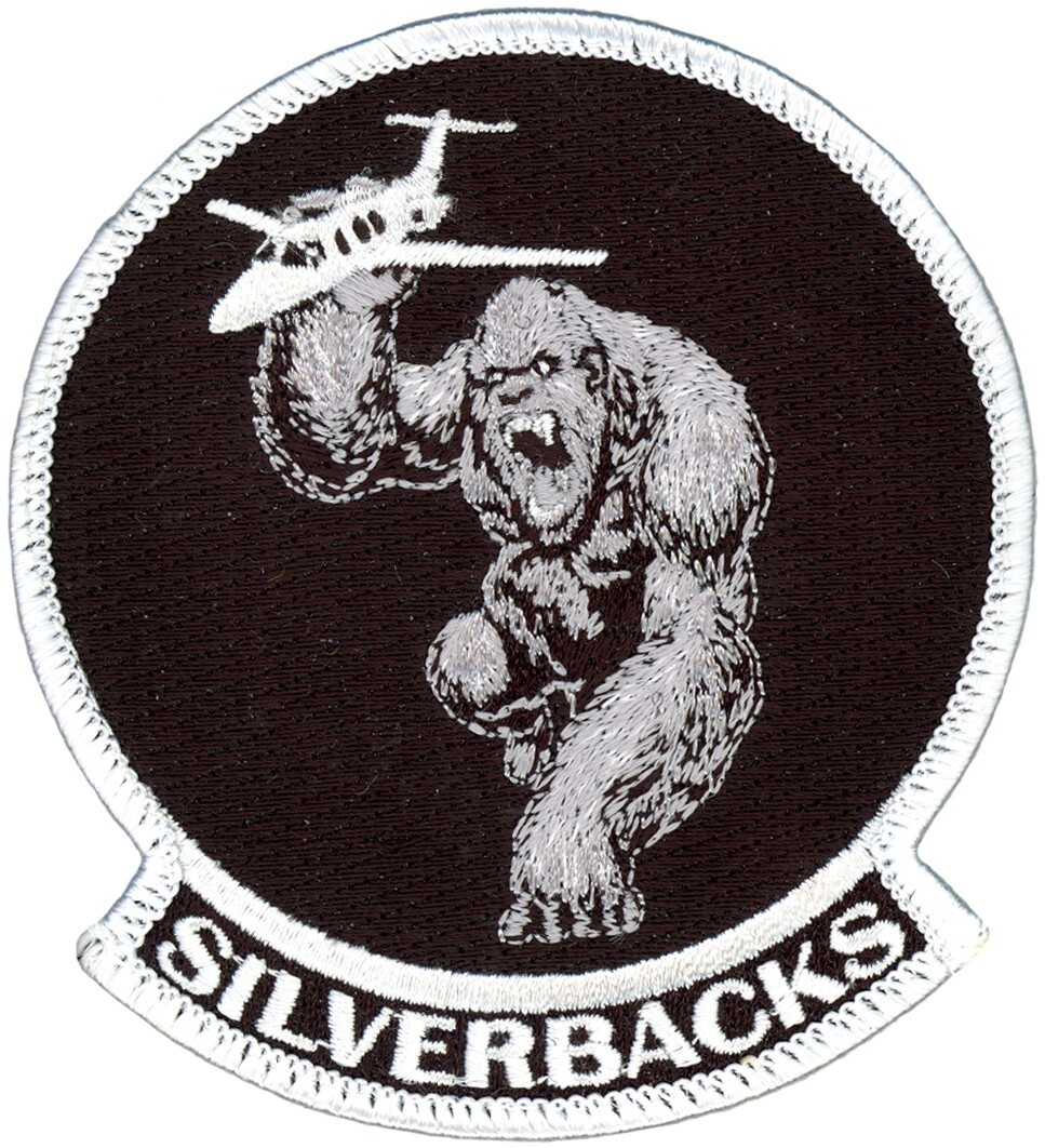 USAF 452st FLYING TRAINING SQUADRON PATCH - SILVERBACKS