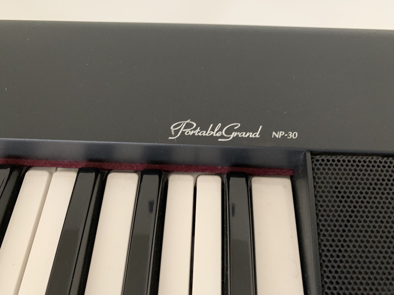 Portable Digital Piano Grand NP-30