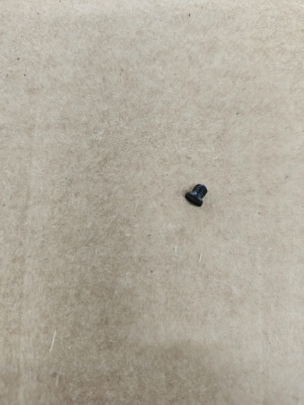 Rossi 92 loading gate spring cover screw.  Blue. NOS