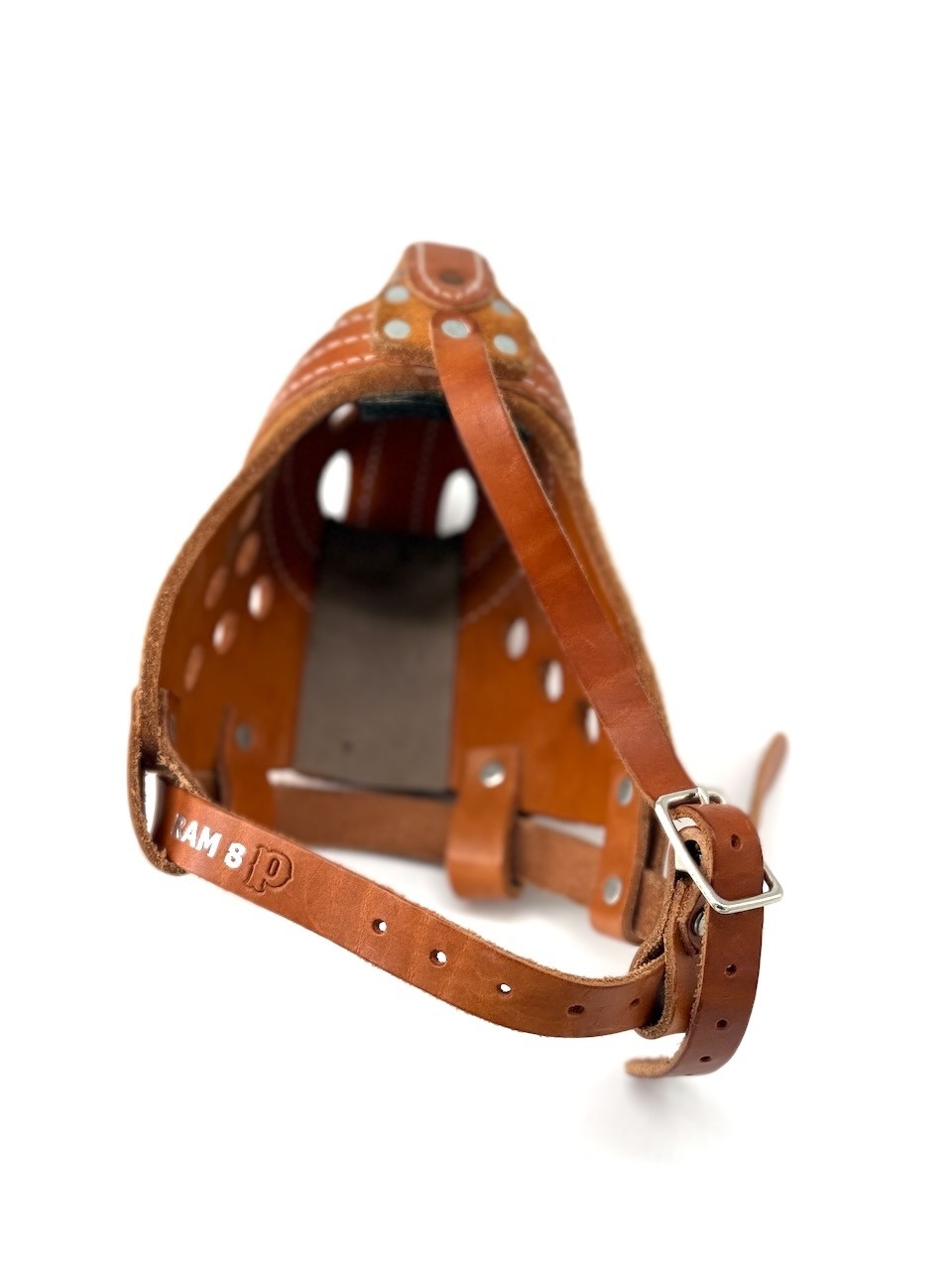 Dog RAM 8 Collar Muzzle Ray Allen Manufacturing
