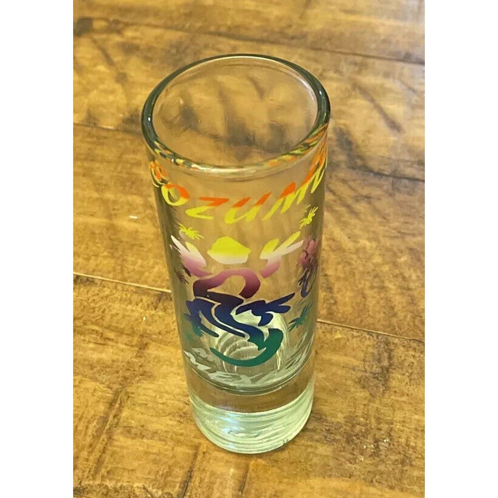 Cozumel Mexico Shot Glass￼