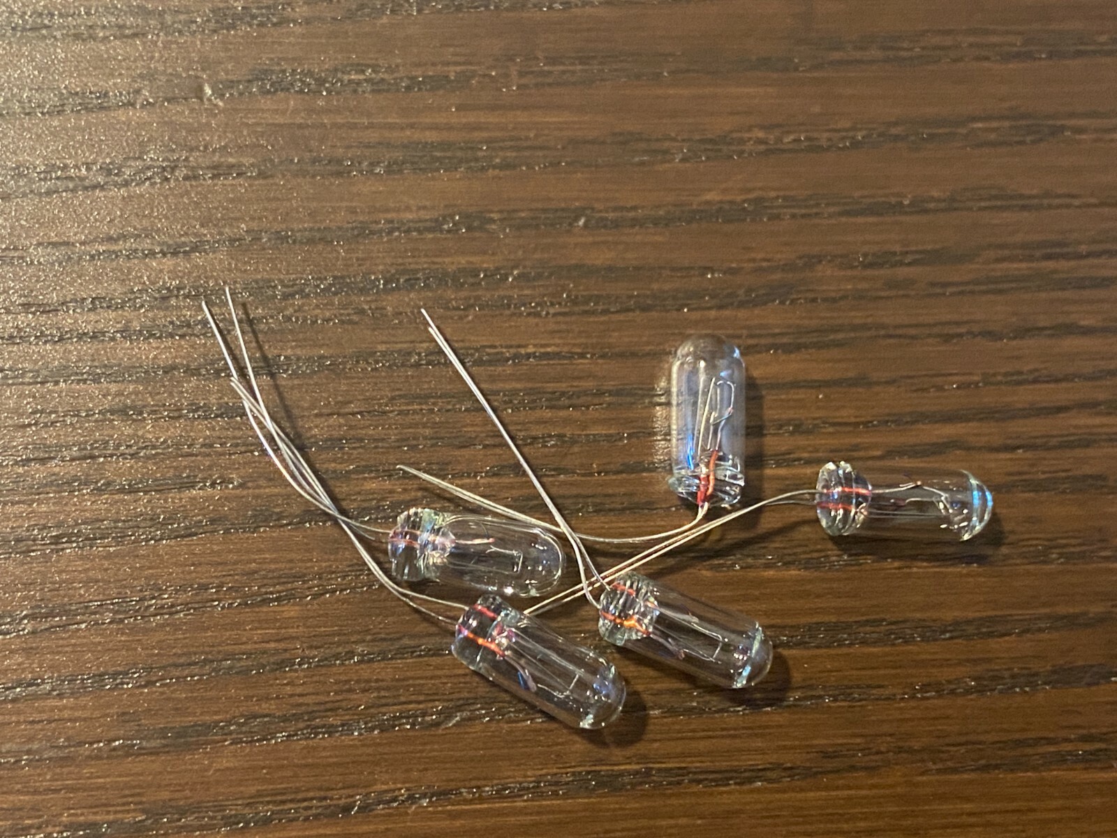 5 New Grain-of-Wheat Bulbs 24v 45mA Lamps Vintage Receiver Lights 5MM