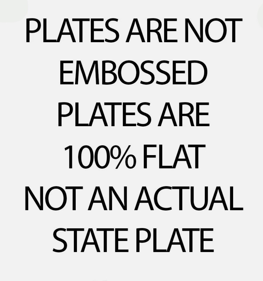 Chihuahua 2017 Custom State License Plate Personalized 12"x6" Size