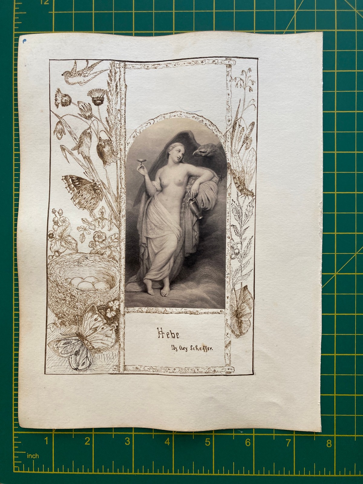 Victorian pen and ink border work around art print Herbe Scheffer