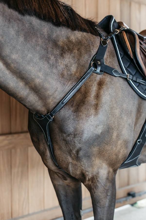 Dion Elastic Chest Harness (5-Point)
