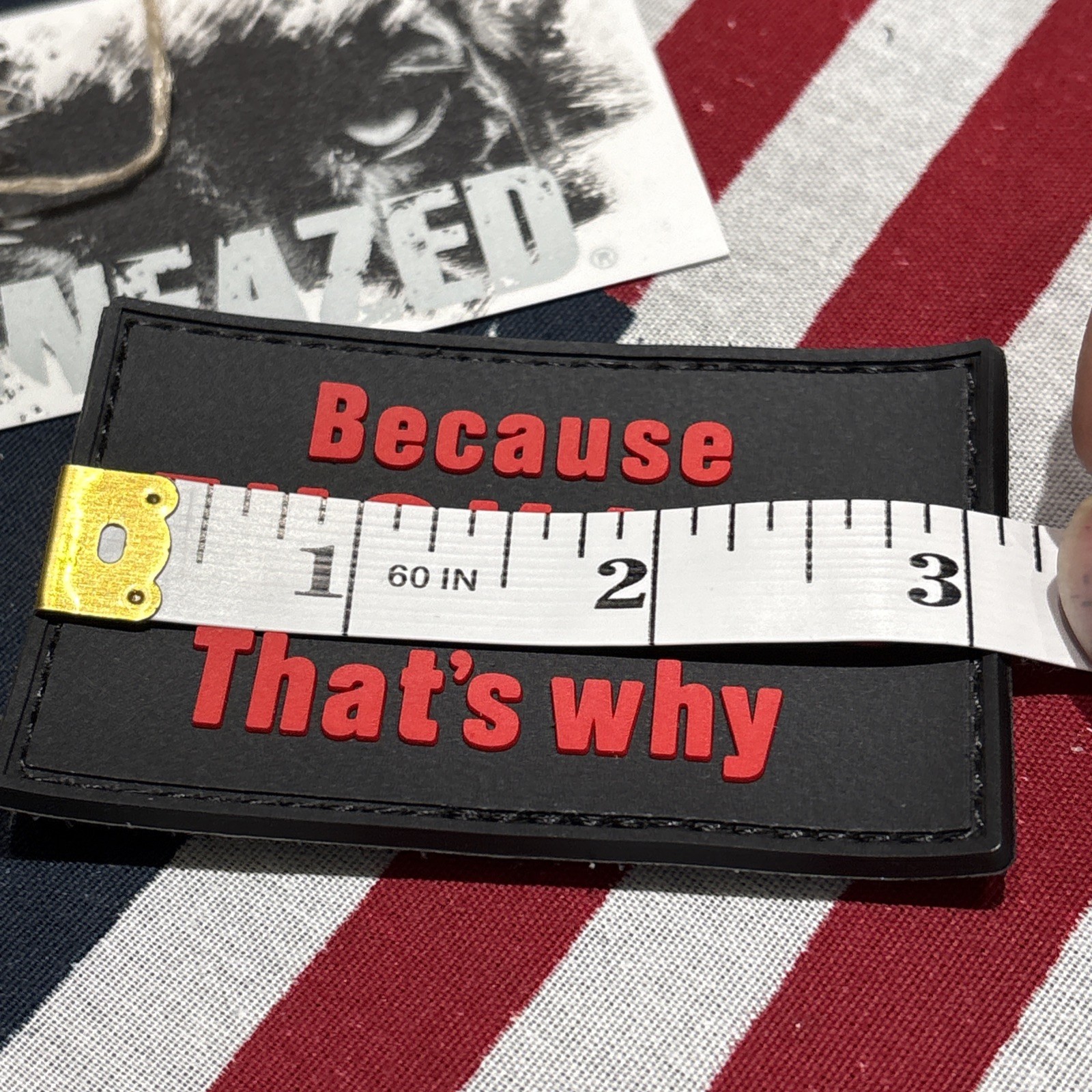 Because That’s Why Blk Red Morale Tactical Hook & Loop Patch High Quality 3d PVC