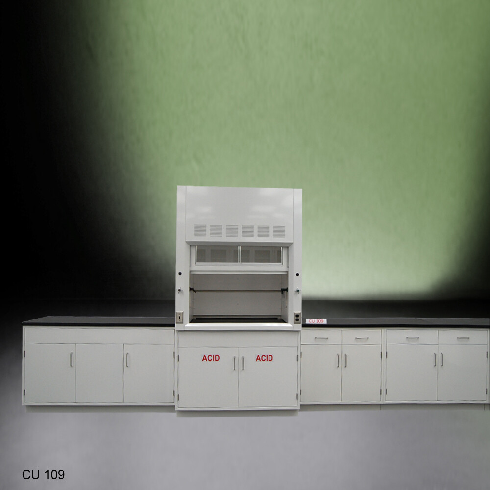 Fisher American 4' Fume Hood / ACID Storage 15' Laboratory Cabinet Group  E2-303
