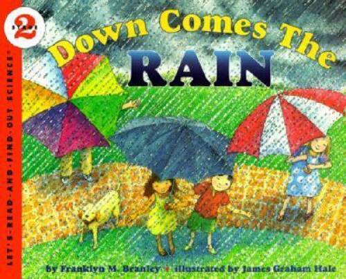 Down Comes the Rain (Let's-Read-and-Find-Out Science 2) - Paperback - VERY GOOD