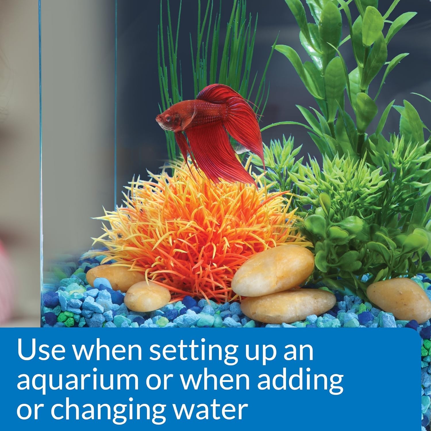 API Betta Water Conditioner Makes Tap Water Safe For Freshwater 1.7oz - 2 Pack