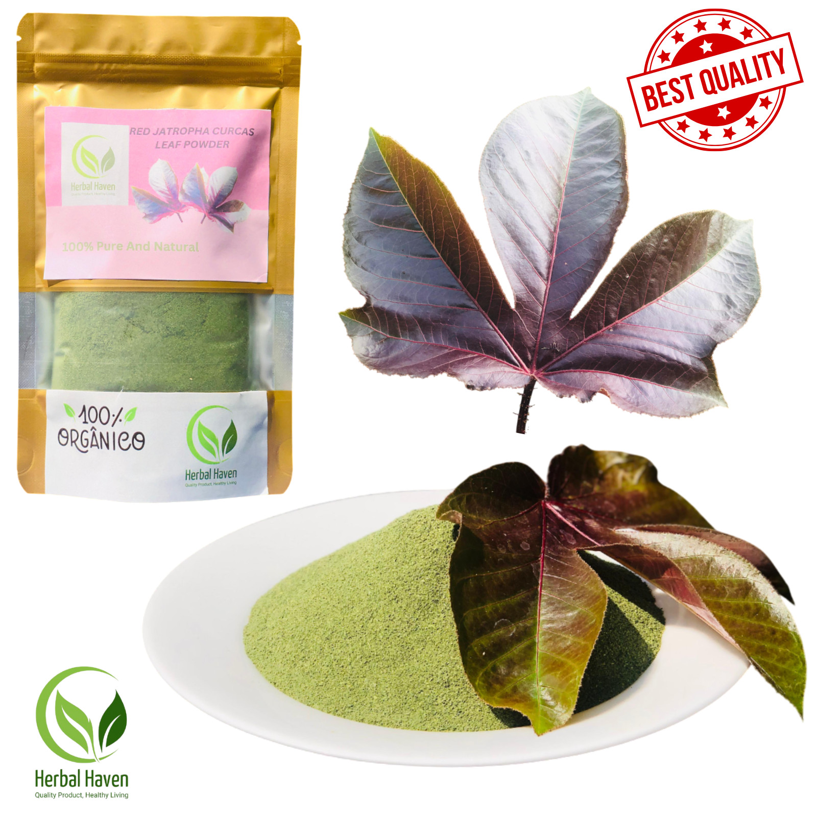 Natural Red Jatropha Curcas Leaf Powder Pure Ratanjot Laljari Yatilung Jadi Raw