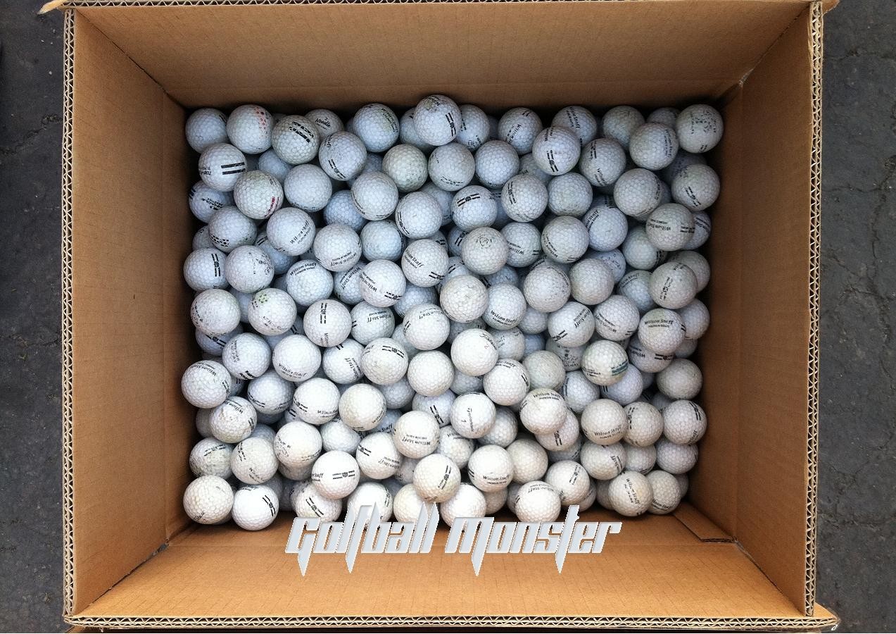 300 Range Practice Golf Balls D Grade Practice Shag Golf Balls FREE SHIPPING