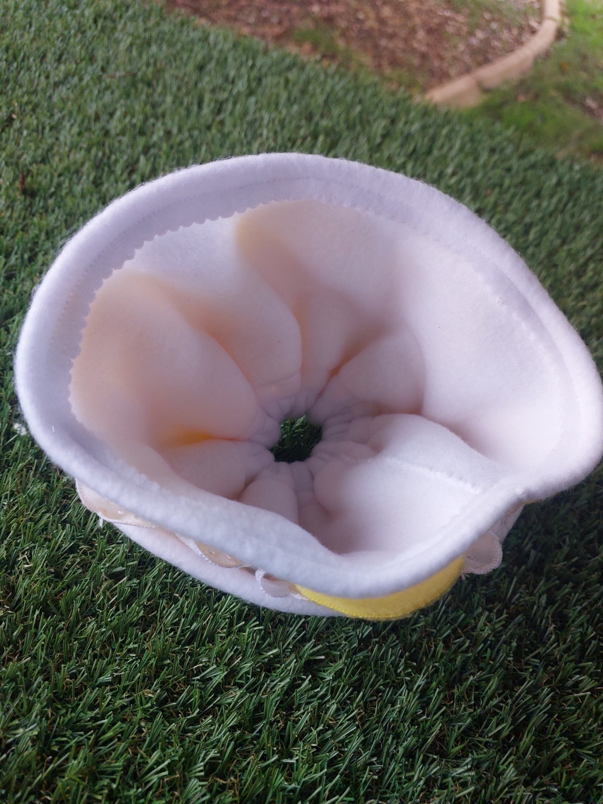 Sulphur - Crested Daisy Collar