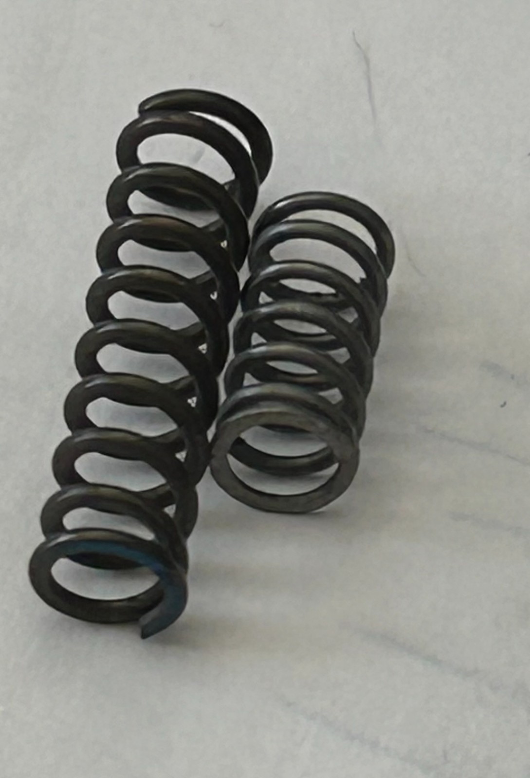 554076 Spring