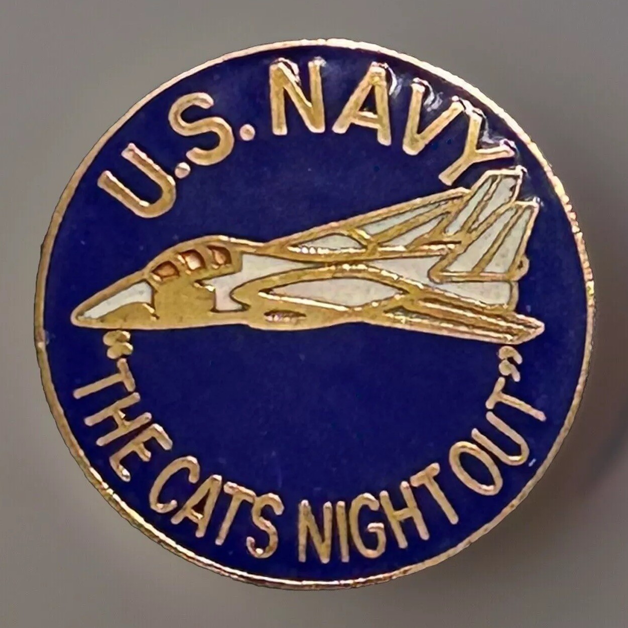 US Navy F 14 Tomcat "The Cats Night Out" Pin 1”