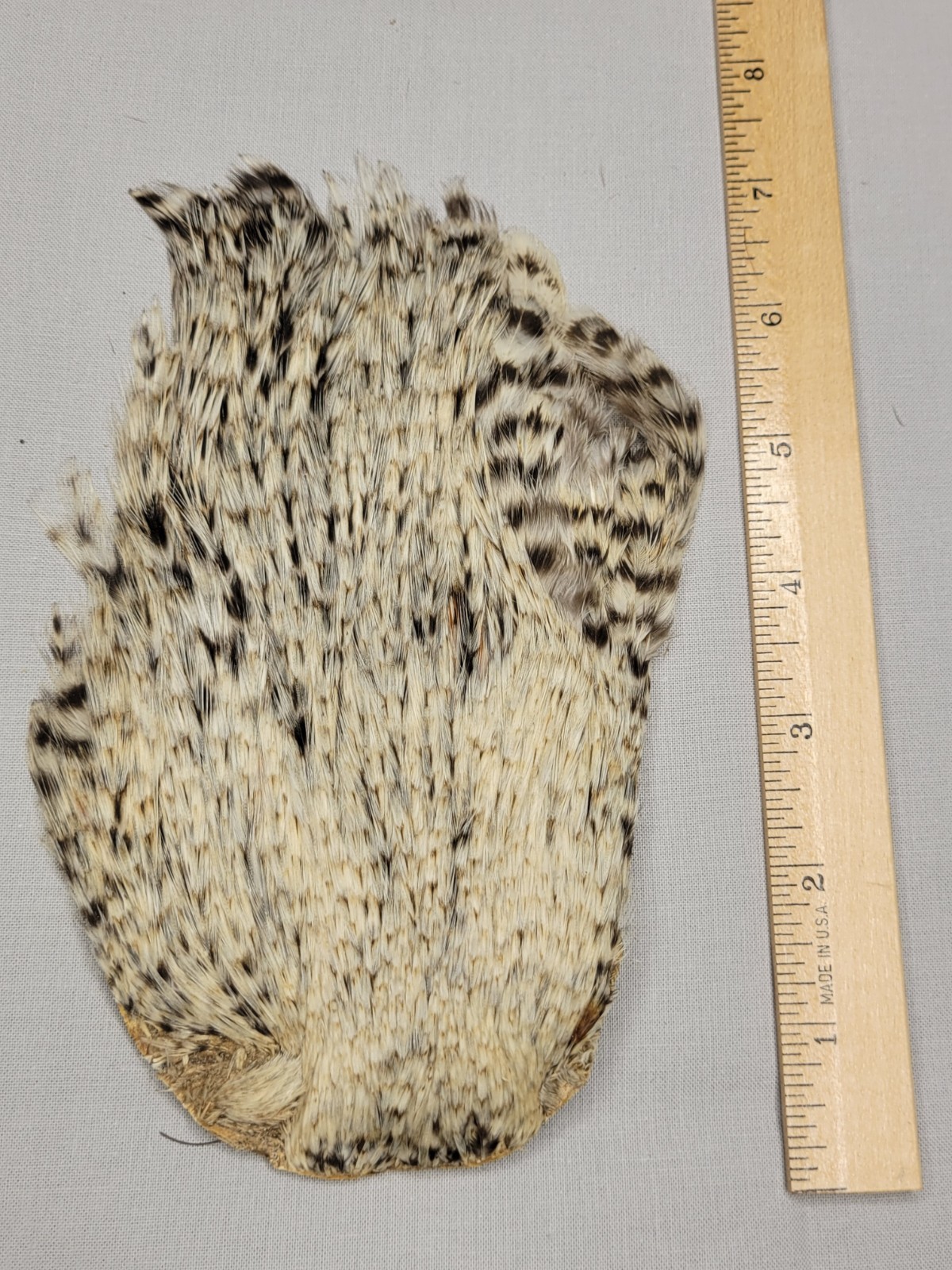 Lot 43,  Grade B,   Natural India Rooster Streamer Neck Cape Feathers