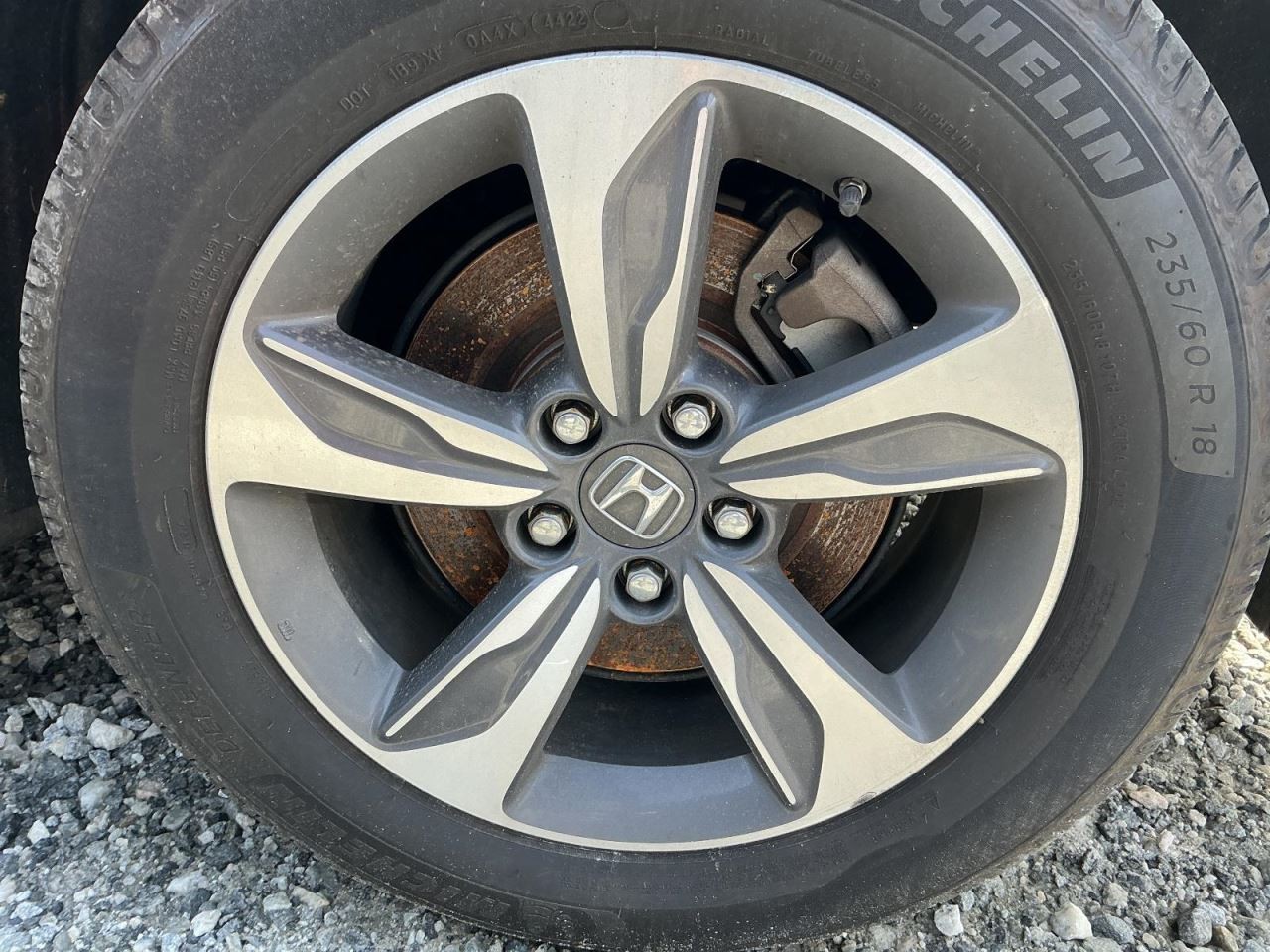 ODYSSEY 2019 Glove Box 4922867