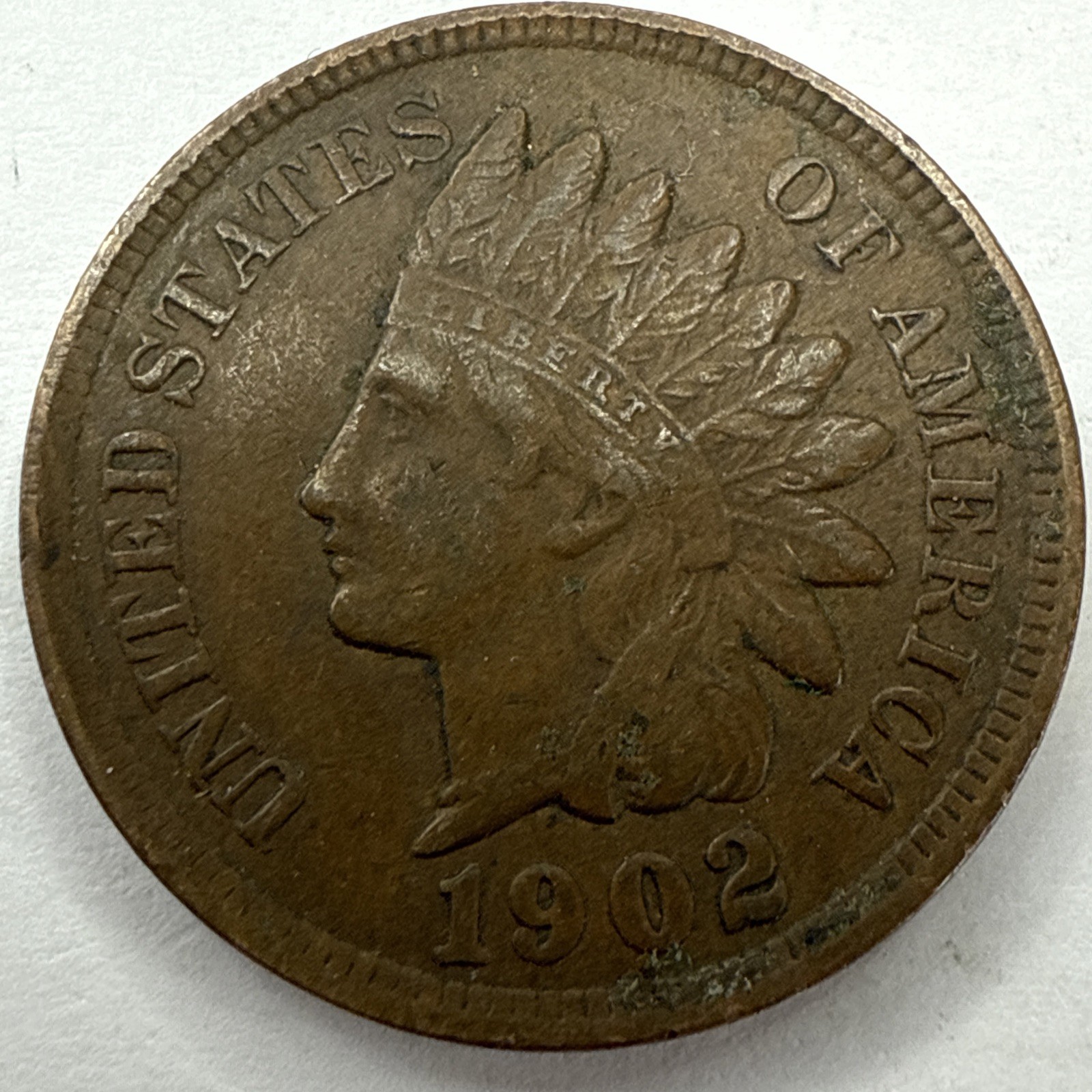1902 Indian Head Cent Exact Coin Imaged #IND2112