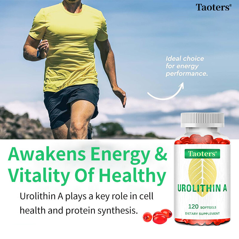 Urolithin A Supplement Improve Muscle Endurance Overall Health 120 Capsules US