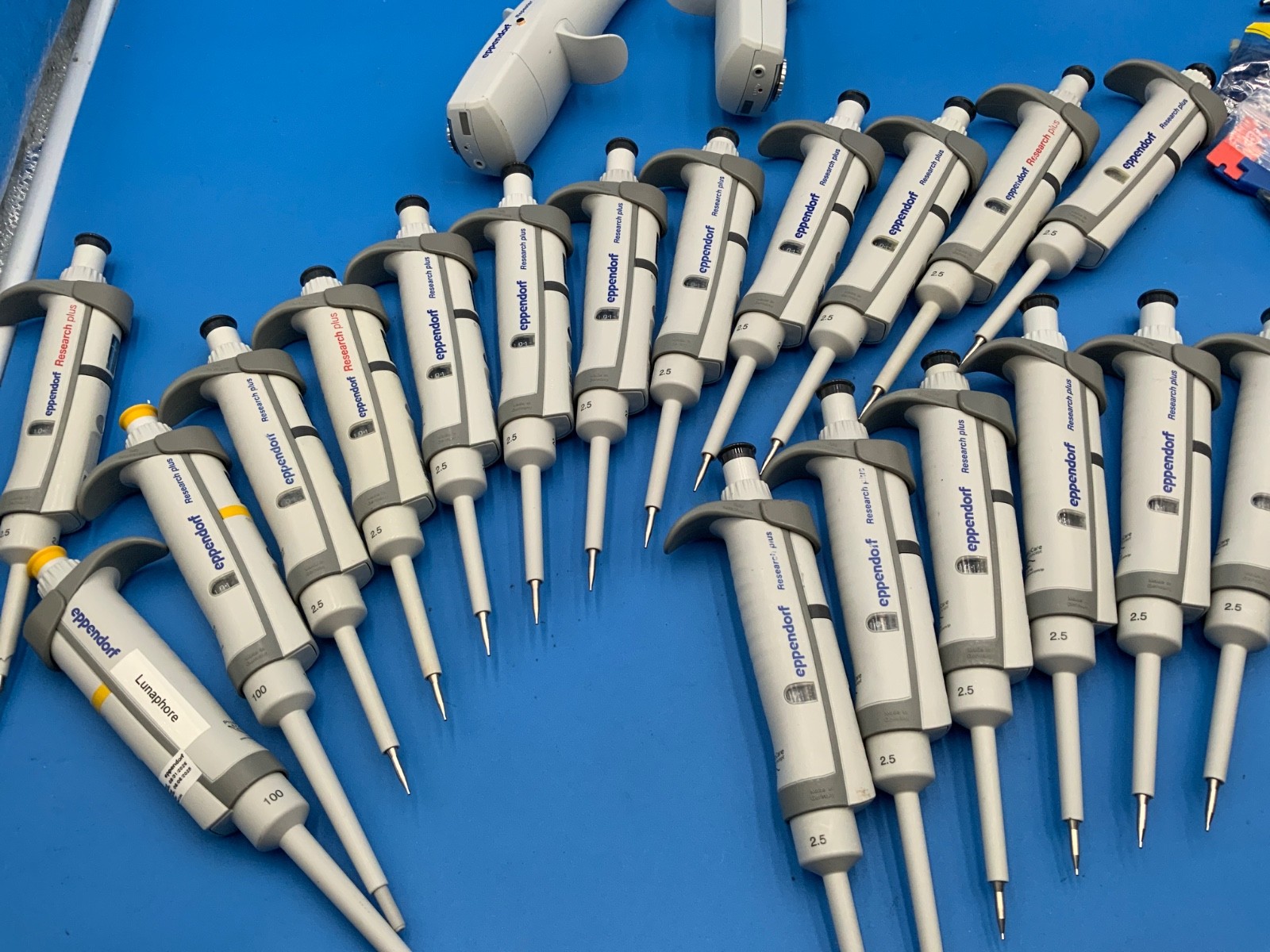 Eppendorf Research Plus Pipette P2.5 20 200 1000 multi single channel Warranty