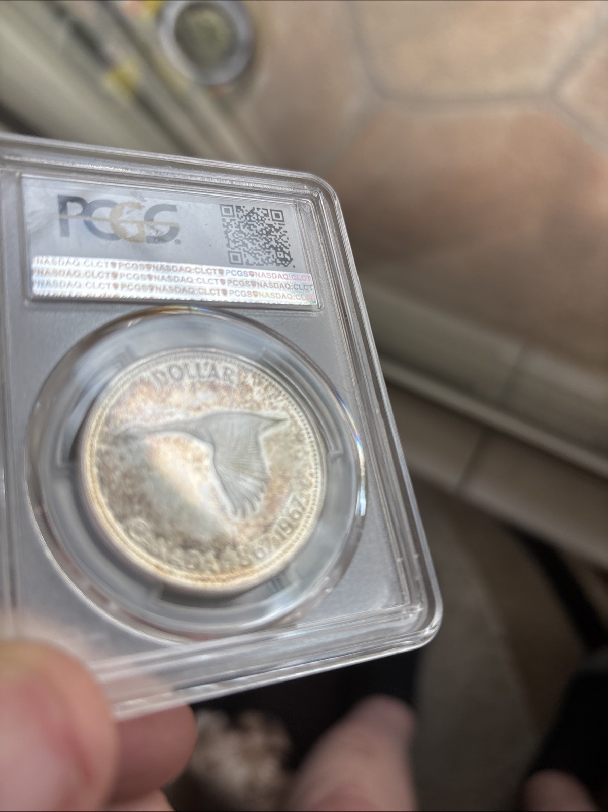 1967 $1 PCGS CANADA MS64. RARITY IN THIS HIGH GRADE. PL & TONED ON REVERSE.