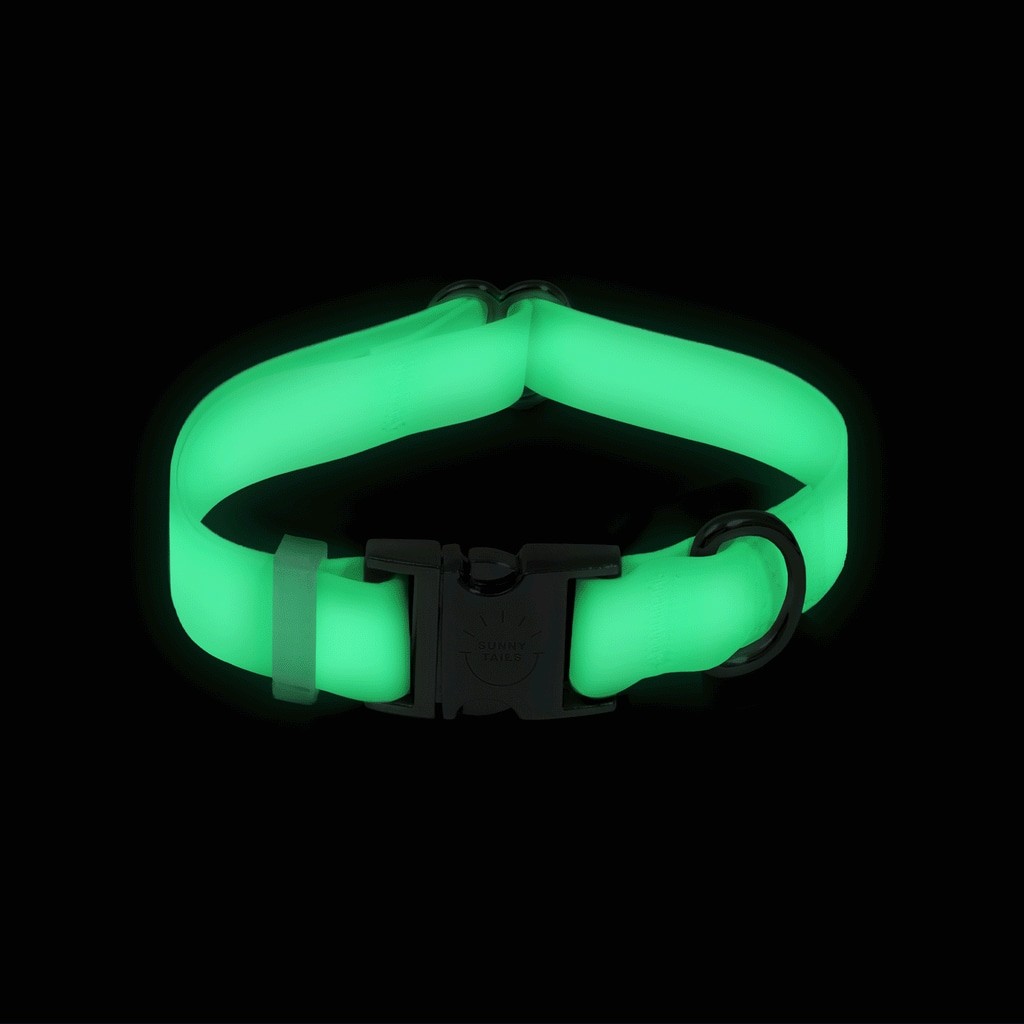 Sunny Tails Lunar Glow Waterproof Dog Collar × 1 SMALL NWT