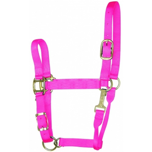 Hamilton Quality 1" Nylon Adjustable Halter With Snap