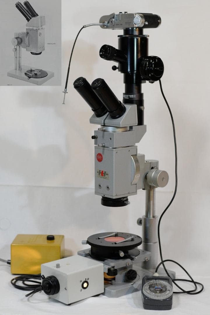 microscope antique collectible Leitz's "Elber" Stereo Polarizing Microscope