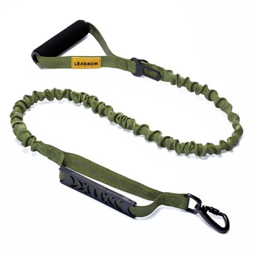 6FT Highly Reflective Heavy Duty Elastic Bungee Medium and Large Dog Leash