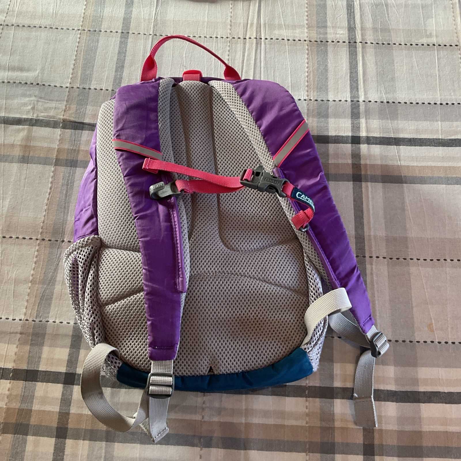Camelbak Scout Backpack Purple and Pink