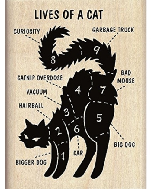Halloween steampunk witch black possessed cat lives familiar animal kitten luck