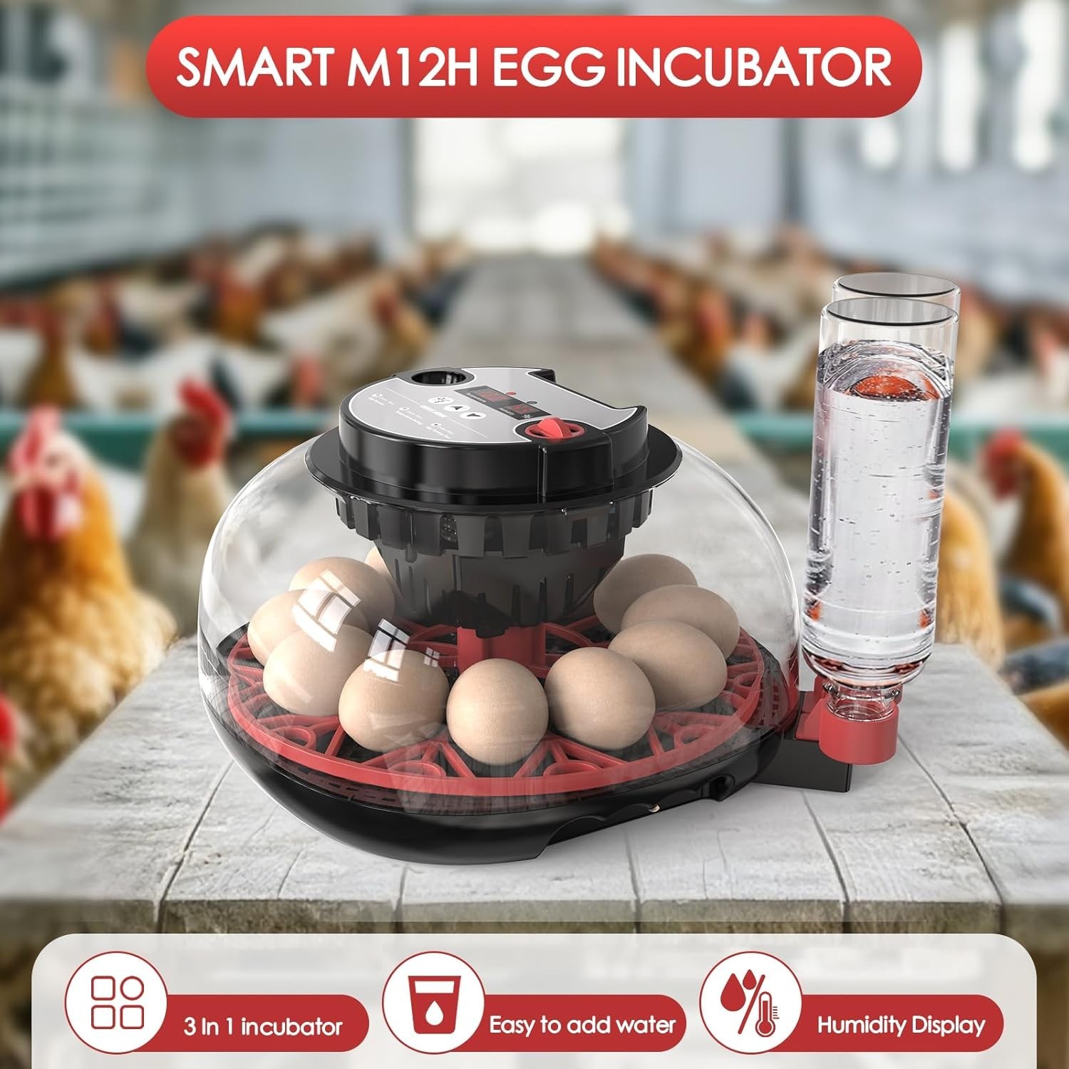 Automatic 12 egg incubator with temperature control function.