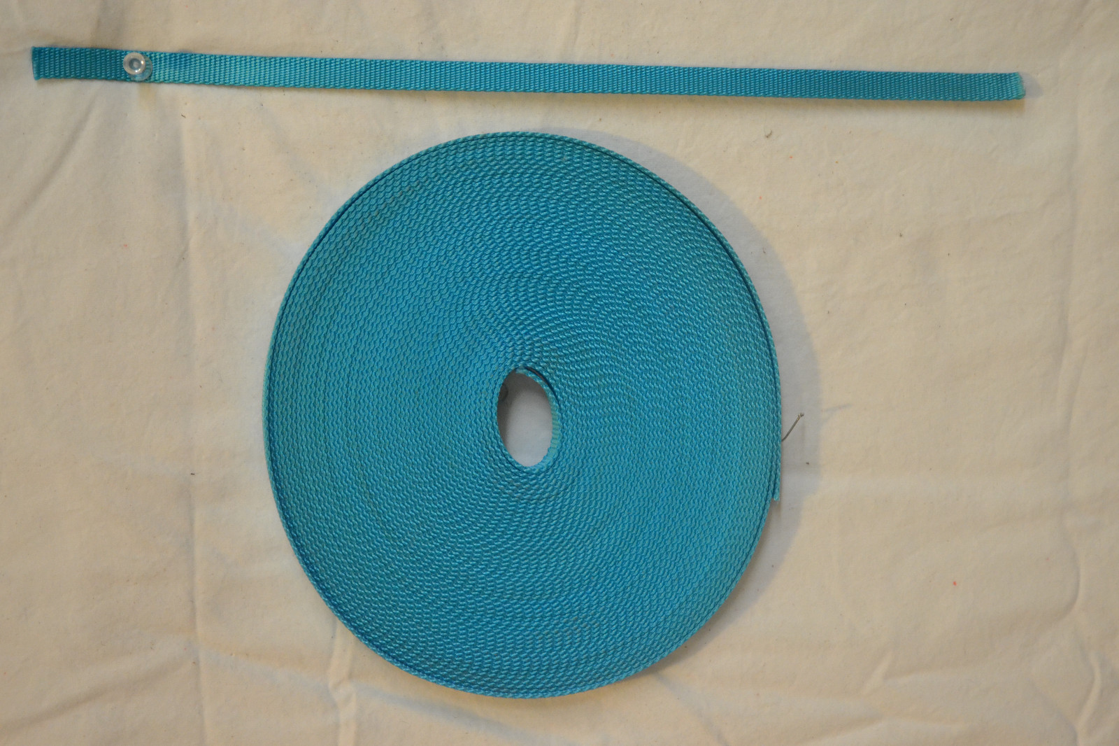 Webbing - 1/2" x 16 ft - Light Weight Nylon - Turquoise (H64)