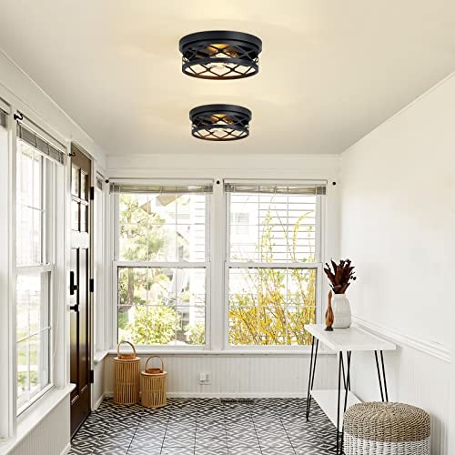 2 Pack Flush Mount Ceiling Light,Black 2-Light 10.7in 2-Light Ceiling Light