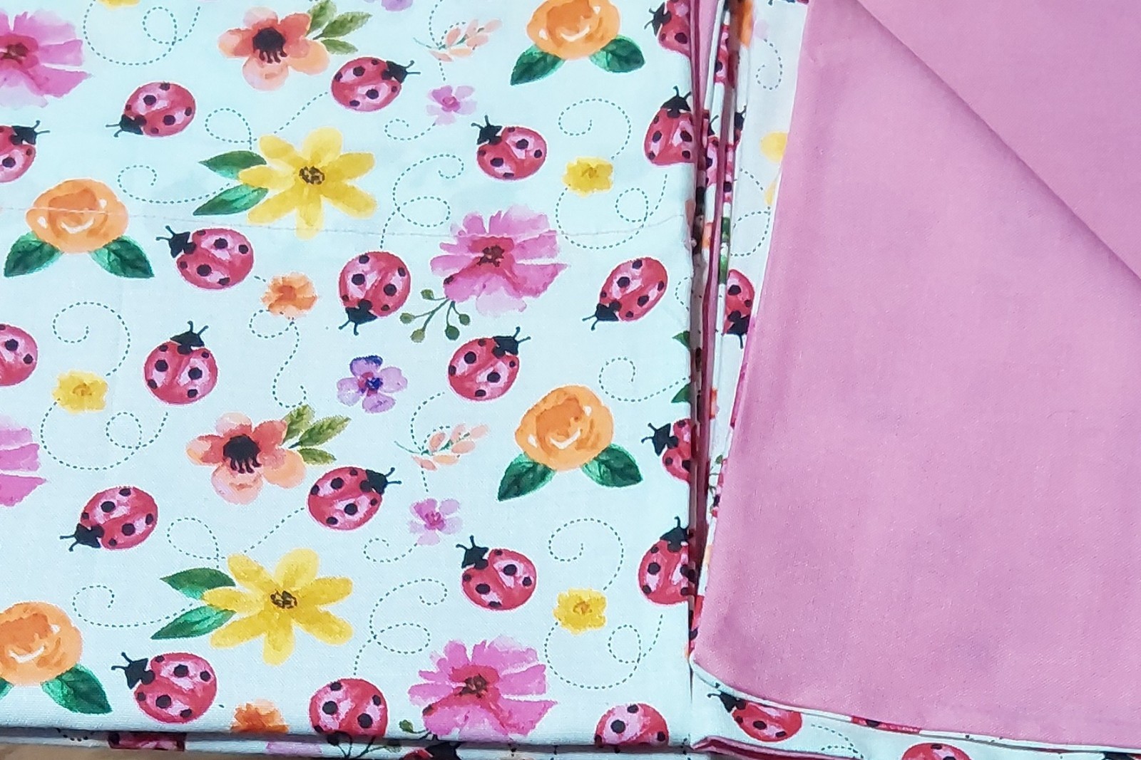 Kids Pillow Cases, Comes With 1, Can Order Two, Print On Front Solid On Back