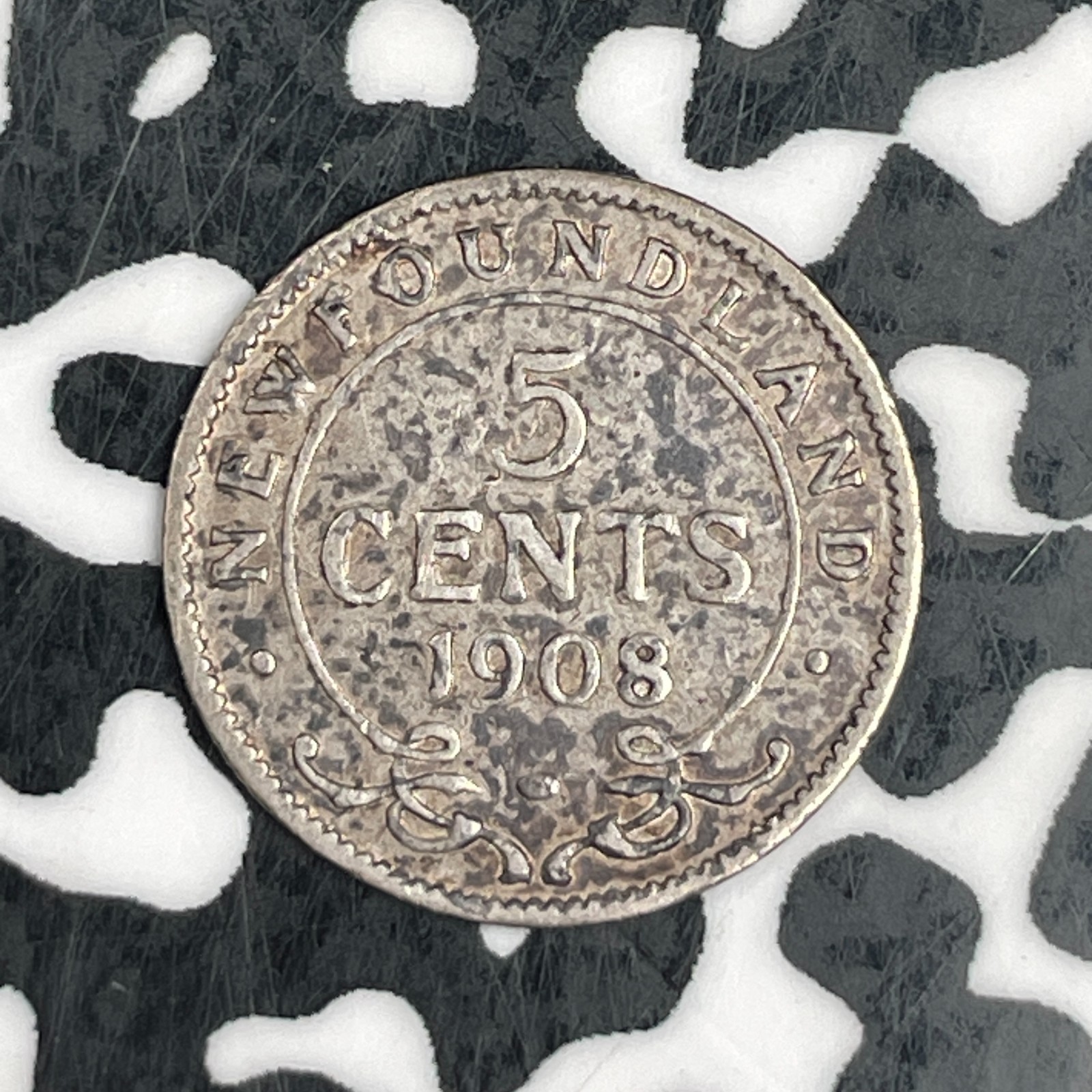 1908 Newfoundland 5 Cents Lot#F5913 Silver!