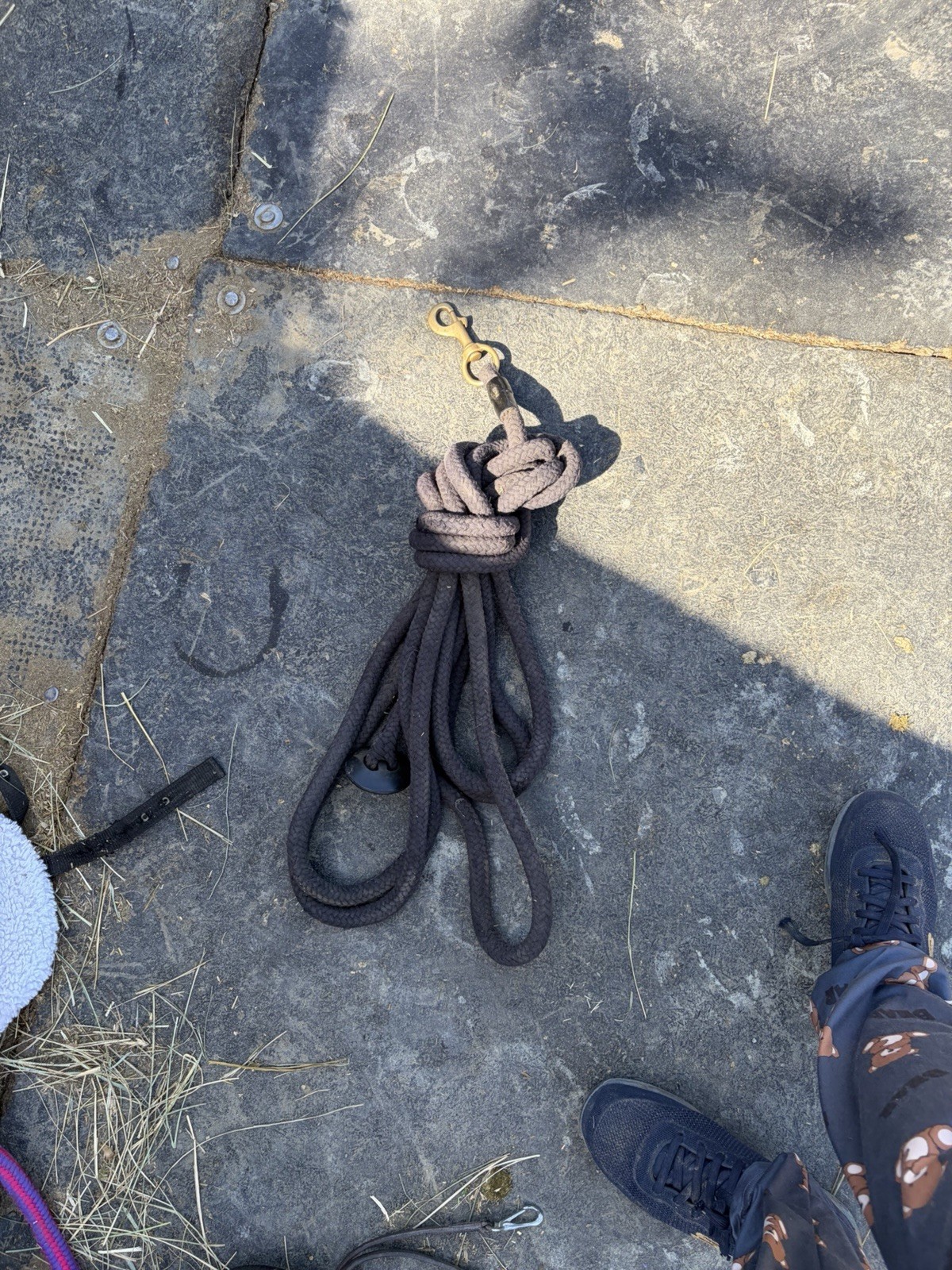 Lunging Rope