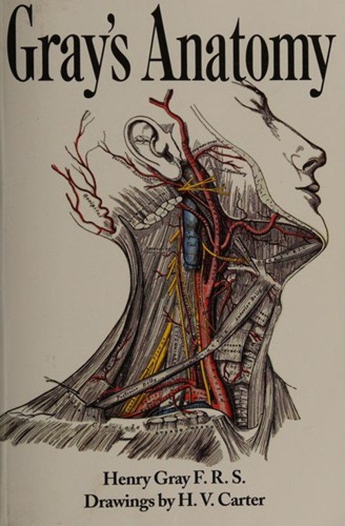 Gray's Anatomy Paperback Henry Gray