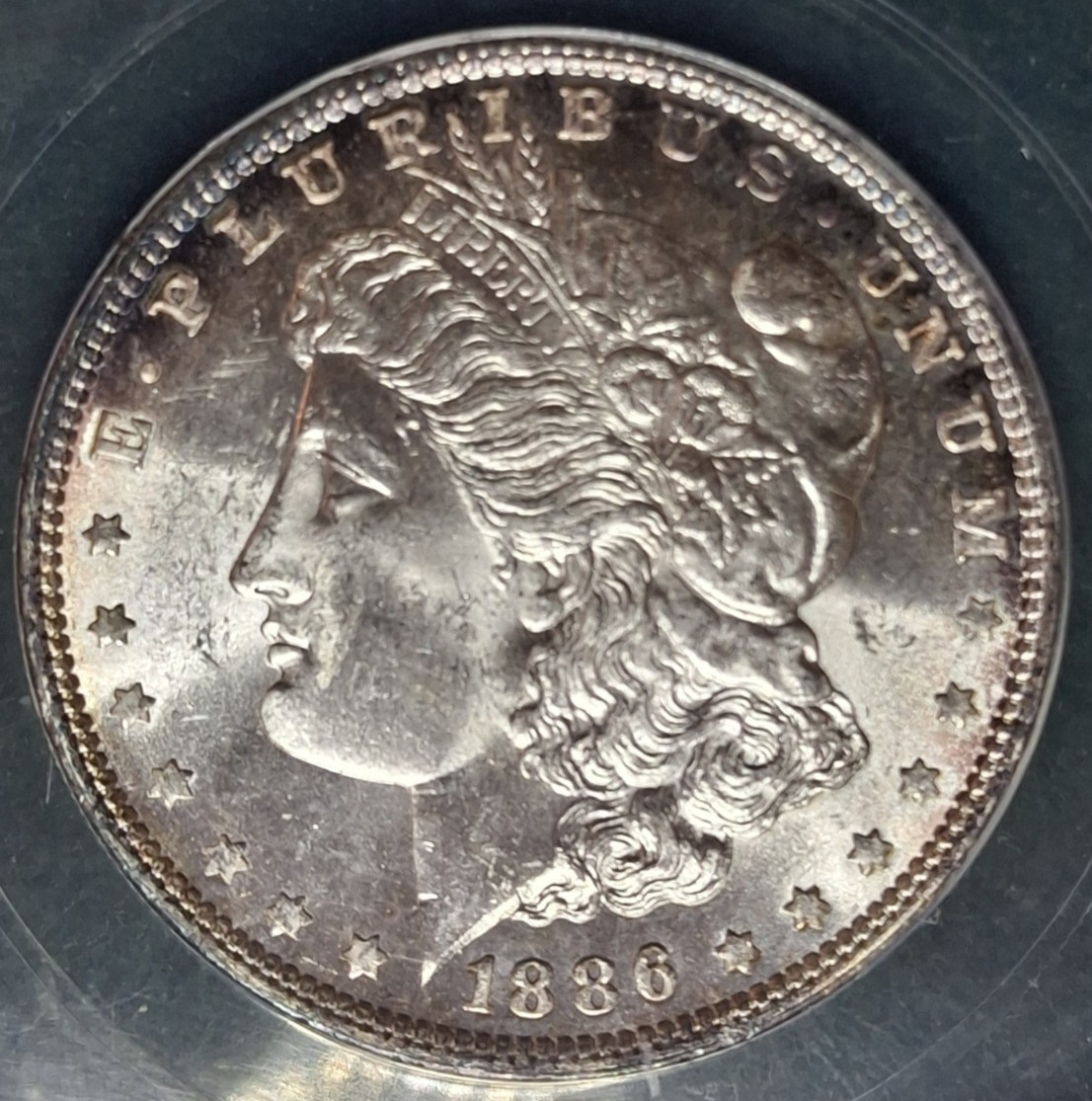 1886 Morgan Dollar - ANACS MS 63