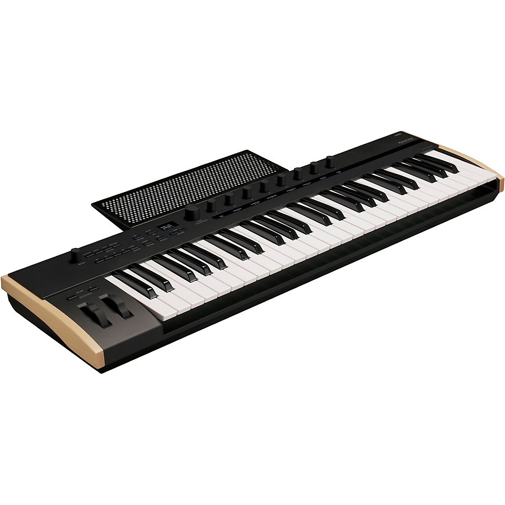KORG Keystage MIDI Keyboard Controller With Polyphonic Aftertouch 49 Key LN