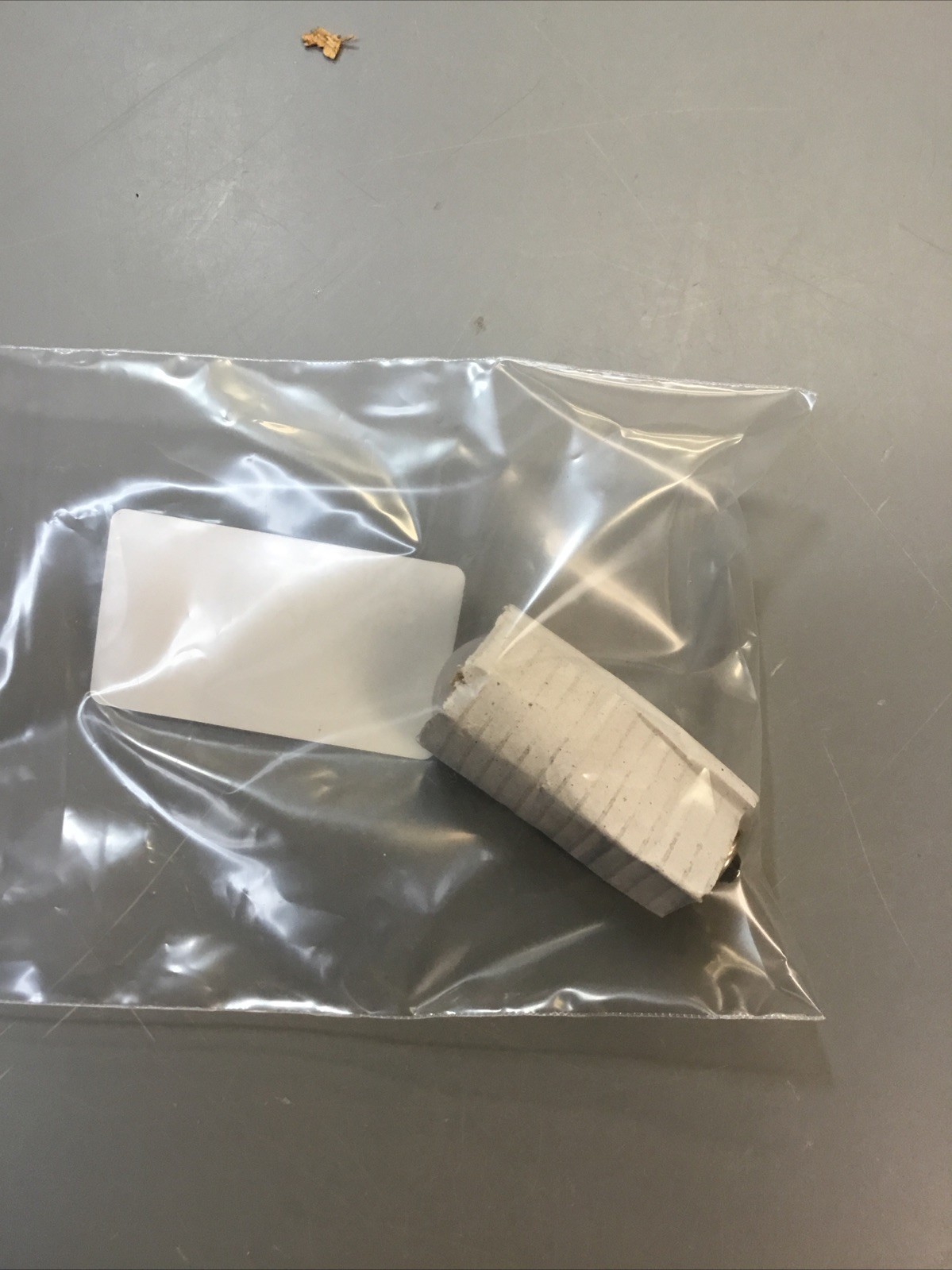 Serv-Ware RE10019 Light Bulb